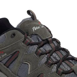Peter Storm Men's Arnside Vent Walking Shoe -SCARPA Sales go 046011 e